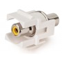 Hyperline KJ1-RCA/YL-D-WH Вставка формата Keystone Jack с проходным адаптером RCA (желтый), D type, ROHS, белая Hyperline KJ1-RCA/YL-D-WH Вставка формата Keystone Jack с проходным адаптером RCA (желтый), D type, ROHS, белая