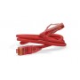 Hyperline PC-LPM-UTP-RJ45-RJ45-C5e-0.15M-LSZH-RD Патч-корд U/UTP, Cat.5е (100% Fluke Component Tested), LSZH, 0.15 м, красный Hyperline PC-LPM-UTP-RJ45-RJ45-C5e-0.15M-LSZH-RD Патч-корд U/UTP, Cat.5е (100% Fluke Component Tested), LSZH, 0.15 м, красный
