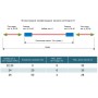 Hyperline PLUE-8P8C-S-C8-SH-BL Разъем полевой оконцовки RJ-45 (8P8C) под витую пару, для одножильного кабеля, toolless, категория 8, экранированный, накручивающийся хвостовик, синий, IDC Hyperline PLUE-8P8C-S-C8-SH-BL Разъем полевой оконцовки RJ-45 (8P8C) под витую пару, для одножильного кабеля, toolless, категория 8, экранированный, накручивающийся хвостовик, синий, IDC
